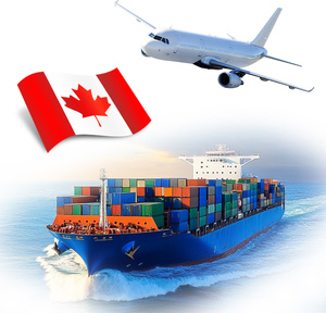 Professional Express Transport Service Shipping to Ghana Senegal <strong>China</strong> Freight Forwarder <strong>China</strong> to Ghana Senegal - Product Image 3