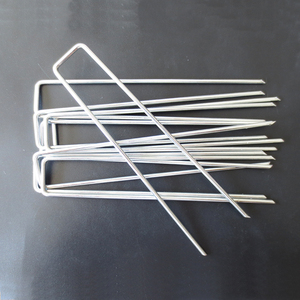 Clous écologiques pour <span class=keywords><strong>gazon</strong></span> artificiel, clous de paysage, clous de jardin, galvanisés, grossiste - Product Image 4