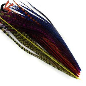 Vente en gros Reeves Big Pheasant Feathers Long Ringneck Pheasant Tail Teint pour Carnaval <span class=keywords><strong>Samba</strong></span> Performance Dress Ramadan Graduation - Product Image 6
