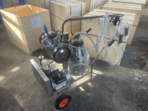 Máquina <span class=keywords><strong>de</strong></span> Ordeño <span class=keywords><strong>de</strong></span> Alto Vacío - Bomba <span class=keywords><strong>de</strong></span> Vacío Potente <span class=keywords><strong>de</strong></span> 1.1kW Adecuada para Operaciones <span class=keywords><strong>de</strong></span> Ordeño Rápido <span class=keywords><strong>de</strong></span> Vacas Lecheras <span class=keywords><strong>de</strong></span> Alto Rendimiento - Product Image 5
