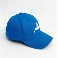 Gorra de Béisbol de Sarga de Algodón de 6 Paneles con Logotipo Personalizado OEM, Bordado Estereoscópico 3D, Gorra Deportiva Informal para Exteriores