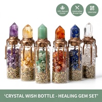 Ensemble de Bouteilles à Vœux d'Halloween en Cristal Naturel, Bouteille en Verre avec Éclats de Pierres Précieuses Guérisseuses, Bouchon Gouttelette Bronze, Pointe en Pierre Brute, Coffret Cadeau Sorcière