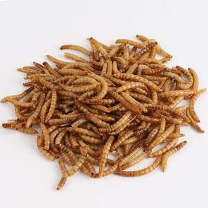 100% ללא GMO טבעי מיקרוגל תולעי קמח יבש תולעי דם למכירה/מזון לחיות מחמד עבור תרנגולות ציפור בר - Product Image 5