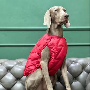 Chaleco Acolchado de Algodón para Mascotas, Doble Cara, Resistente al Viento, Cálido, para Perros y Gatos, Ropa de Invierno para Exteriores, Novedad 2025 - Product Image 1