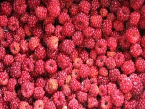 Framboises surgelées IQF de qualité export, baies rouges entières pour la distribution mondiale, qualité A, 100 % naturelles - Product Image 2