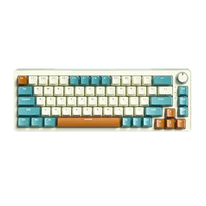 DUSTSILVER China Großhandel Mechanische Tastatur Blauer Schalter 65% Tri Mode Gaming RGB Tastatur