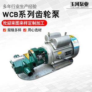 Bombas de Engranajes Portátiles Serie WCB, Bombas de Aceite Eléctricas Autocebantes de Mano para Gasolina y Diésel Disponibles - Product Image 3