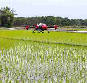 อุปกรณ์เสริมสำหรับโดรนพ่นยาทางการเกษตร Agras T30 - สายคอมโพสิต ESC สำหรับแขน M1 และ M4 ของ T30 - Product Image 6