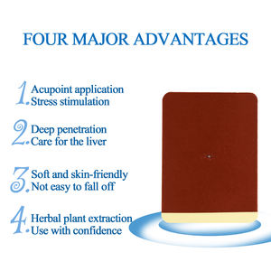 Hot Sale Gezondheidszorgbenodigdheden Leververzorgingspleisters Kruidenextract Leverdetox-Reinigingspleisters Andere Lichaamsverzorgingsproducten - Product Image 4