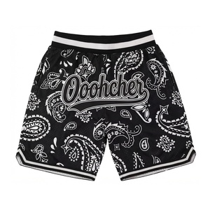 Op maat gemaakte vintage mesh applicaties sport shorts groothandel geborduurde street hiphop stijl mesh basketbalshorts met zakken - Product Image 1