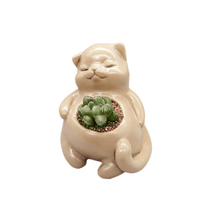 Pot de corps animal chat Offre Spéciale, Pot de fleur créatif de bureau, pot décoratif d'intérieur et de maison - Product Image 3