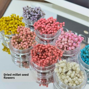 Piccoli Fiori Secchi Giapponesi <span class=keywords><strong>per</strong></span> Nail Art: Decorazioni Fresche Stile Ins con Gypsophila, Stelle e Riso <span class=keywords><strong>per</strong></span> <span class=keywords><strong>Unghie</strong></span> Fai da Te - Product Image 3