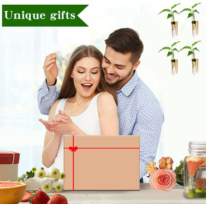 Provetta <span class=keywords><strong>in</strong></span> <span class=keywords><strong>plastica</strong></span> vaso idroponico giardino soggiorno appeso a parete vaso per piante verdi - Product Image 5