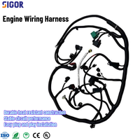 Harnais de câblage électrique automobile OEM, étanche, isolation en PVC et nylon, durable, harnais de câblage personnalisé pour application automobile