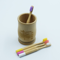 Brosse à dents en bambou naturel biodégradable pour adultes et familles, brosse à dents écologique à vendre