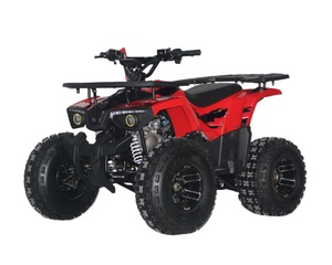 <span class=keywords><strong>Cuatrimoto</strong></span> ATV de 125cc, 4 tiempos, refrigeración por aire natural, arranque eléctrico, transmisión automática por cadena, de alta capacidad, para montaña - Product Image 3