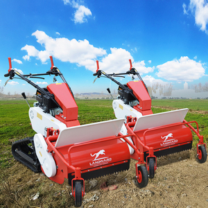Tractor Cortacésped <span class=keywords><strong>de</strong></span> Gran Venta con Conducción a Pie a Gas <span class=keywords><strong>para</strong></span> Corte <span class=keywords><strong>de</strong></span> Césped Giro Cero <span class=keywords><strong>para</strong></span> Granja y Jardín - Product Image 3
