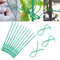 Attaches Réutilisables pour Plantes de Jardin, Sangles Réglables en Os de Poisson pour Soutien de Vignes, Arbustes, Tomates, Treillis, en PP Vert