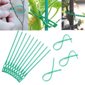 Attaches Réutilisables pour Plantes de Jardin, Sangles Réglables en Os de Poisson pour Soutien de Vignes, Arbustes, Tomates, Treillis, en PP Vert - Product Image 2