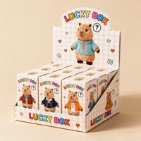 Emballage de boîtes aveugles de luxe personnalisées Boîte mystère en papier kraft pour bracelet en peluche cadeau surprise Boîte pliante écologique