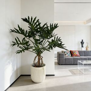 <span class=keywords><strong>ต้น</strong></span>ไม้ปลอมฟิโลเดนดรอนพรีเมียมในกระถางปูนซีเมนต์ ตกแต่งบ้าน สำนักงาน โรงแรม สไตล์โมเดิร์น เหมือนจริง - Product Image 6