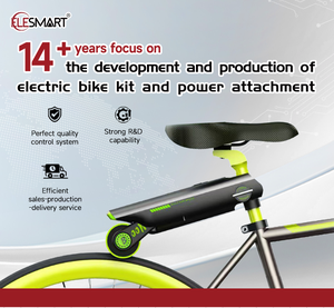 OEM tùy chỉnh có thể gập lại xe đạp điện hỗ trợ Kit 18V 10AH pin có thể tháo rời - Product Image 2