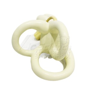 Modèle de labyrinthe interne de l'oreille en PVC écologique, 2 parties détachables, outil pédagogique d'anatomie pour les écoles de médecine. - Product Image 5