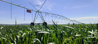 Système d'irrigation automatique à pivot central de Dalian Sanyi, avec moteur, boîte de vitesses et construction métallique, pour l'agriculture intelligente (Nouveau)