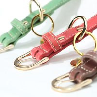 Echtes Leder Hundehalsband, Rindsleder Apple Tracker, verstellbare Größe, kleine und große Hundehalsbänder, personalisierbar, Großhandel