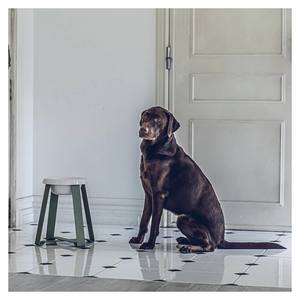 Pecolo Top vente écologique Durable en céramique Portable bol pour animaux de compagnie pratique debout support surélevé alimentation petite taille chat chien - Product Image 1