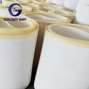 Conveyor Belt Monofilament Plain Woven Non-woven Mesh Belt Pet Industrial Wire Mesh Paper Machine Square Hole Polyester Mesh