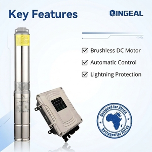 Pompe solaire industrielle de 4 pouces en acier inoxydable 110V 2HP à grand débit pour les distributeurs d'irrigation agricole au Nigeria - Product Image 5
