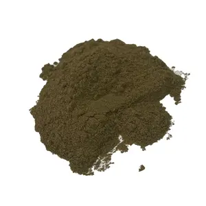 Factory Supply Sports Supplements Ajuga Turkestanica Extract 2%-10% Turkesterone