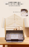 Cage d'élevage pliable plaquée or pour oiseaux, idéale pour perroquets et canaris - Vente en gros