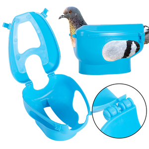 Oferta Especial: Soporte <span class=keywords><strong>de</strong></span> Plástico para <span class=keywords><strong>Palomas</strong></span> con Jeringa <span class=keywords><strong>de</strong></span> Alimentación y Dispositivo <span class=keywords><strong>de</strong></span> Fijación Fácil <span class=keywords><strong>de</strong></span> Usar - Product Image 3