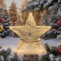 Lumière LED motif étoile de Noël blanc chaud, cadre en polyvinyle 3D, étanche IP44, décoration de jardin extérieur pour les fêtes