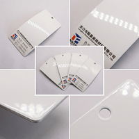 Peinture en poudre époxy thermodurcissable RAL 9016 blanc trafic, haute brillance, application par pulvérisation pour revêtements électroniques et de bâtiment