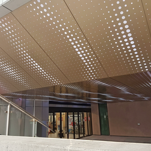 Décoration murale extérieure en aluminium perforé décoratif pour porte - Product Image 1