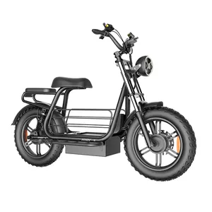 20 inç depolama alanı evcil hayvan kafesi 48V 750W/1500W DDP Max şarj cihazı Motor Cruiser yağ lastik elektrikli bisiklet