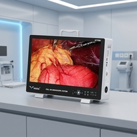 Ensemble d'endoscopie électrique IKEDA YKD-9122 pour laparoscopie, cystoscopie et arthroscopie, système de caméra endoscopique portable 4 en 1, Full HD 1080P, chirurgie