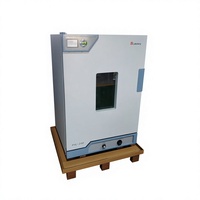 Incubadora Microbiológica Digital de Temperatura Constante para Laboratorio, Pequeña y Digital, Fabricada en China