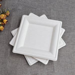 一次性6英寸7英寸9英寸10英寸12英寸方板可生物降解甘蔗渣甘蔗板 - Product Image 3