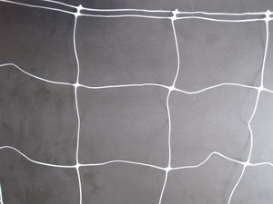 Filet de treillis 5x5 pour soutien des plantes grimpantes en agriculture - Product Image 3