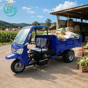 Venta de Fábrica, Triciclo de Carga de Gran Capacidad, Motor Diésel, Triciclo Motorizado, <span class=keywords><strong>Moto</strong></span> Cargo, Triciclo de 18/22/25 HP - Product Image 1