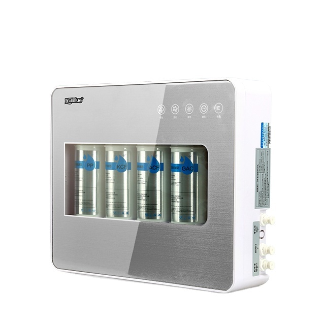 WellBlue Water Filter Price with Alkaline Water Ionizer Water Purifier