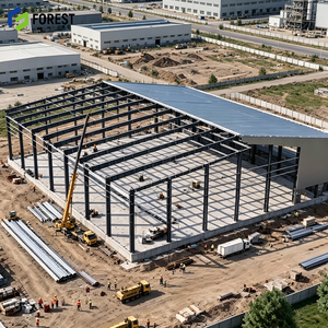 Atelier de fabrication de bâtiments préfabriqués en acier, entrepôts résistants à la corrosion, construction robuste - Product Image 1