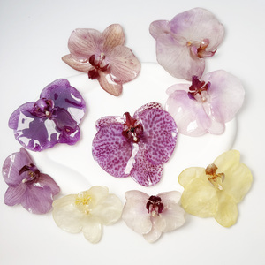 Phụ kiện thời trang nữ 2025: Mặt dây chuyền, bông tai, charm tự làm, mẫu mới, hoa bất tử, trang sức hoa thật, mặt dây chuyền lan thật, nhựa resin - Product Image 3