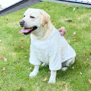 Camiseta Cálida de Invierno 2026 para Perros Grandes: Golden Retriever, Labrador, Border Collie, <span class=keywords><strong>Doberman</strong></span> - Product Image 4