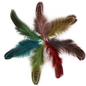 6-10厘米批发高品质染色图案多色雉鸡羽毛中国快递发货珠宝DIY 100件/包48小时送达 - Product Image 5