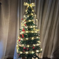 Wasserdichte Mehrfarbige Plastik Silberne Glühwürmchen LED Mini Mikro Lichterkette Romantische Weihnachtsbaum-Dekoration
